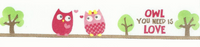 16901-Band-Eule-OWL-YOU-NEED-IS-LOVE-Breite--2-5cm.PNG