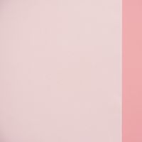 22274-Schiebevorhang-Flaechenvorhang-Eva-uni-weis_1.jpg Schiebevorhang Flächenvorhang Eva uni weiß 245x60cm