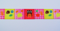 23168-Ripsband-Eule-bunt-Breite--2-5cm.PNG