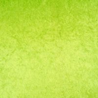 Samtstoff Kreativstoff Pannesamt einfarbig lime limetten grün 1.5m