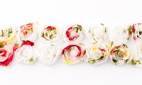 29106-Zierband--Tuell--mit--Rosen--2reihig--weiss--.PNG