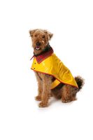 Burda Schnittmuster 7752 Hundemantel