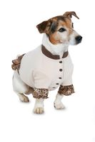 31333-BurdaSchnittmuster7752Hundemantel_1.jpg Burda Schnittmuster 7752 Hundemantel
