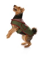 31333-BurdaSchnittmuster7752Hundemantel_2.jpg Burda Schnittmuster 7752 Hundemantel