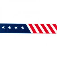 35879-Gummi-Band-USA-Breite--2-5cm.jpg