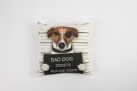 Schöner Leben Kissenhülle Bad Dog 40x40cm