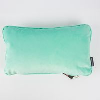43861-Bezugsstoff-Polsterstoff-Samt-pastell-mint_1.jpg Möbelstoff Polsterstoff Bezugstoff Samtstoff Samt pastell mint 1.40m
