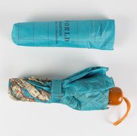 45576-Regenschirm-Landkarte-blau-beige-56x38cm_1.jpg Regenschirm Weltkarte blau beige 56x38cm