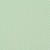 Baumwollstoff Mini Sterne mint weiß