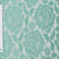 47438-Elastische-Spitze-Blumen-mit-Wellen-Abschlu_1.jpg Elastische Spitze Blumen mit Wellen Abschluss beidseitig mint