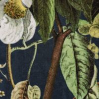 Samtstoff Dekostoff Italian Velvet Affe Vogel blau