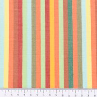 Markisenstoff Outdoorstoff Toldo Streifen orange