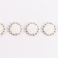 51304-Rosenband-mit-Strasssteinen-weiss-silberfarbi.jpg