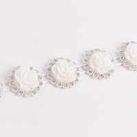 51304-Rosenband-mit-Strasssteinen-weiss-silberfar_1.jpg 51304-Rosenband-mit-Strasssteinen-weiss-silberfar_1.jpg
