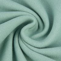 Baumwollfleece Fleece aus Baumwolle einfarbig mint 1.45m