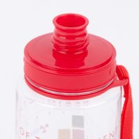 Trinkflasche Periodensystem 600 ml