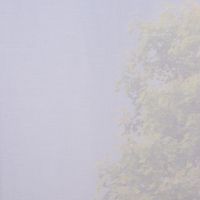 Fertiggardine Schal mit Schlaufenband Batistoptik weiß 145x245cm