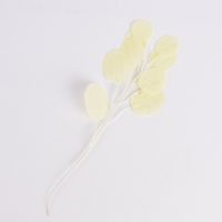 62119-Kunstzweig-Silberdollarfarn-creme-20cm-KW42-84408Capture0066.jpg Kunstzweig Silberdollarfarn creme 20cm