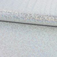62592-Jerseystoff-Stretch-Jersey-Glitzer-holografisch-einfarbig-dunkelblau-1-5m-Breite-KW45-86177Capture0001.jpg Jerseystoff Stretch Jersey Glitzer holografisch uni silber grau 1.5m