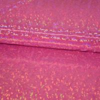 62606-Jerseystoff-Stretch-Jersey-Glitzer-holografisch-einfarbig-gruen-1-5m-Breite-KW45-86170Capture0015.jpg Jerseystoff Stretch Jersey Glitzer holografisch uni pink 1.5m Breite