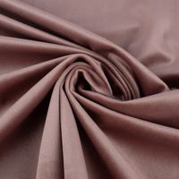 SCHÖNER LEBEN. Zugluftstopper Velvet Samt ein altrosa div. Größen