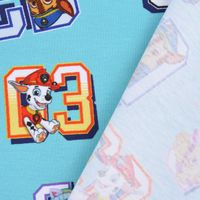 Baumwolljersey Digitaldr. Paw Patrol Startnummer Sterne türkis bunt 1