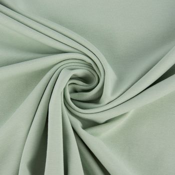 Baumwolljersey Organic Bio Jersey einfarbig mint 1.5m Breite