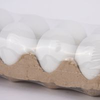 Creativ Company Dekoeier 12er Set Kunststoff weiß 3.5cm