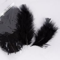 Creativ Company Federn 15 Stück schwarz 5-12cm