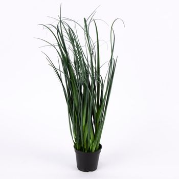 Kunstpflanze im Topf Gras grün 45cm