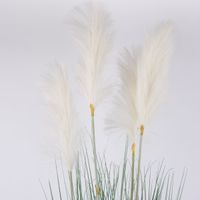 Kunstpflanze im Topf Fuchsschwanzgras grün 114cm