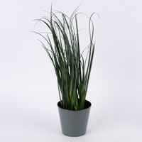 Pflanztopf konisch Kunststoff grau 11x10.5cm