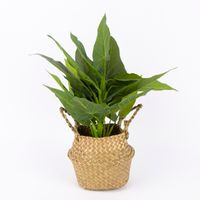 Creativ Company Korb aus Seegras mit Henkeln rund natur 20x16cm