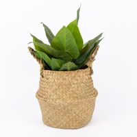 Creativ Company Korb aus Seegras mit Henkeln rund natur 27x27cm