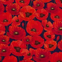 67785-SCHoeNER-LEBEN--Kissenhuelle-Outdoor-Mohnblumen-rot-dunkelblau-verschiedene-Groessen-KW4-91603Capture0003.jpg SCHÖNER LEBEN. Kissenhülle Outdoor Mohnblumen rot dunkelblau
