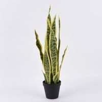 Kunstpflanze im Topf Bogenhanf zweifarbig grün gelb 60cm