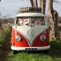 72144-Dekostoff-Gobelin-Premium-VW-Palm-Hawaii-VW-Bus-Bulli-beige-rot-1-4m-Breite-BBFabrics-SS21-Copyright-10-2.jpg Dekostoff Gobelin Premium VW Palm Hawaii VW-Bus Bulli beige rot 1.4m