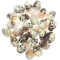 Rico Design Eier Ostereier mit Federn grün-braun 24Stk