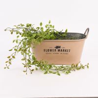 Pflanztopf Flower Market mit Henkel Metall verschiedene Farben