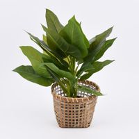 Pflanztopf Korb Rattangeflecht mit Folienauskleidung natur 2er-Set
