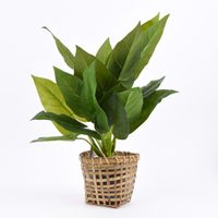 Pflanztopf Korb Rattangeflecht mit Folienauskleidung natur 2er-Set