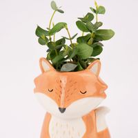 73889-Sass-und-Belle-Vase-Fuchs-orange-weiss-19x8cm-KW14-143984Capture0085.jpg Sass & Belle Vase Fuchs orange weiß 19x8cm