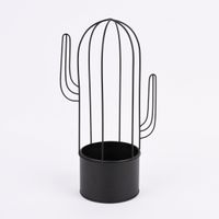 Pflanztopf Kaktus Drahtgestell Metall länglich schwarz 35cm