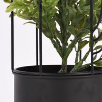 Pflanztopf Kaktus Drahtgestell Metall länglich schwarz 35cm