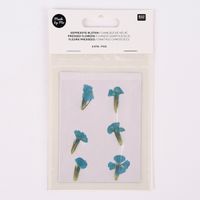 Rico Design Gepresste Blüten Chinesische Nelke 6 Stück blau grün