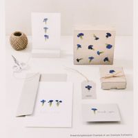 Rico Design Gepresste Blüten Chinesische Nelke 6 Stück blau grün