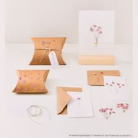 Rico Design Gepresste Blüten Ammi Zweig 4 Stück rosa grün