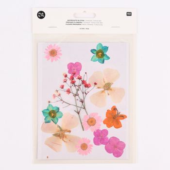 Rico Design Gepresste Blüten Mix Set orange türkis 13 Stück