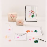 Rico Design Gepresste Blüten Mix Set orange türkis 13 Stück