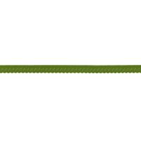 75881-Gummiband-Elastic-Abschlussspitze-Schraegband-army-gruen-Breite--1-2cm--034R-184173---034R--Elastisches-Schraegband-Luxus-Polyamid--Army-.jpg 75881-Gummiband-Elastic-Abschlussspitze-Schraegband-army-gruen-Breite--1-2cm--034R-184173---034R--Elastisches-Schraegband-Luxus-Polyamid--Army-.jpg